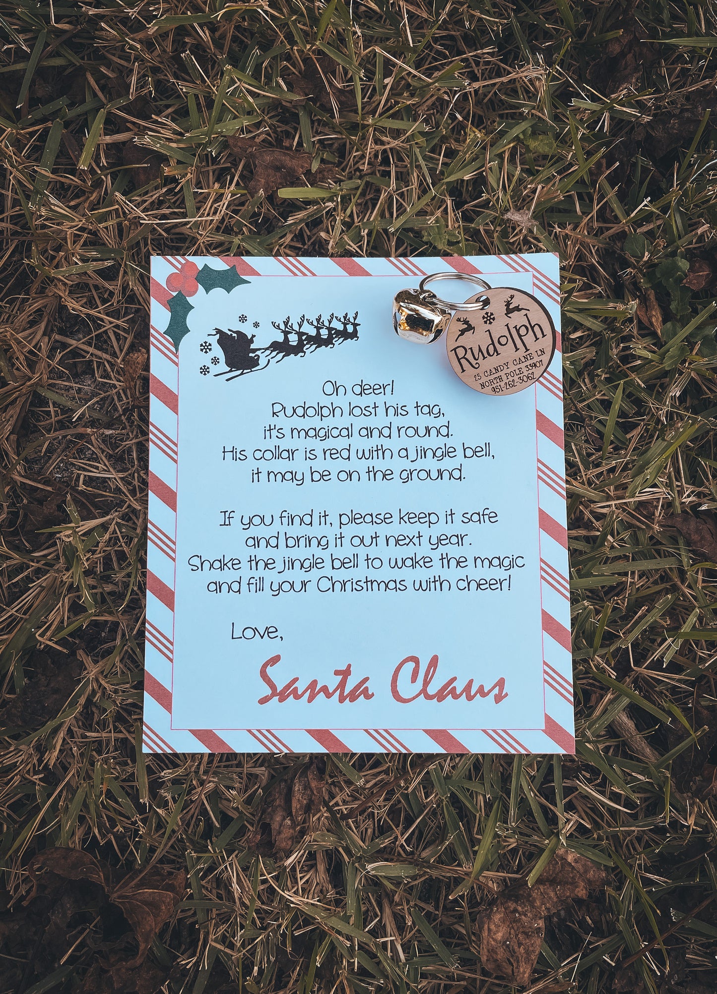 Rudolf’s Lost Tag
